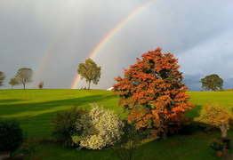 Wunderschner Regenbogen hinter dem Haus